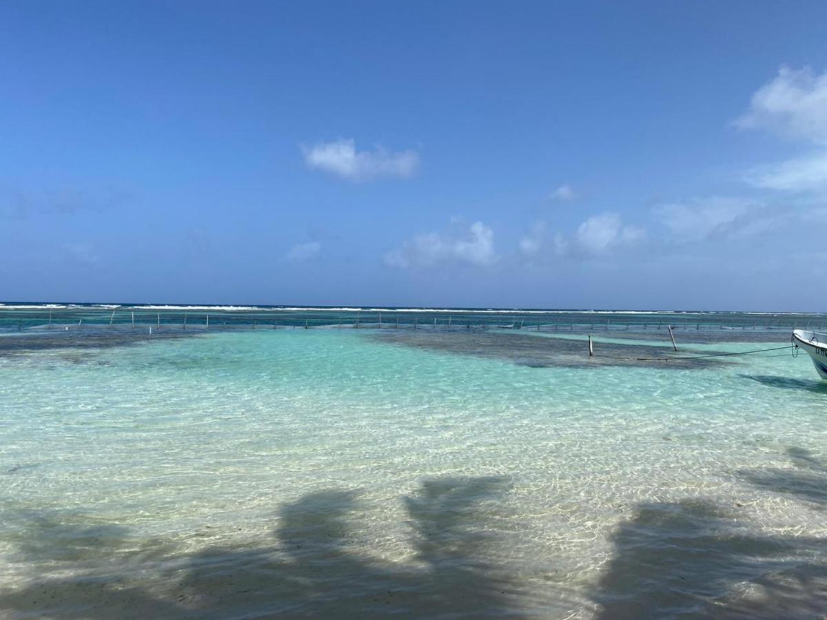 Hotel Blue Reef Frente Al Mar Mahahual Zewnętrze zdjęcie