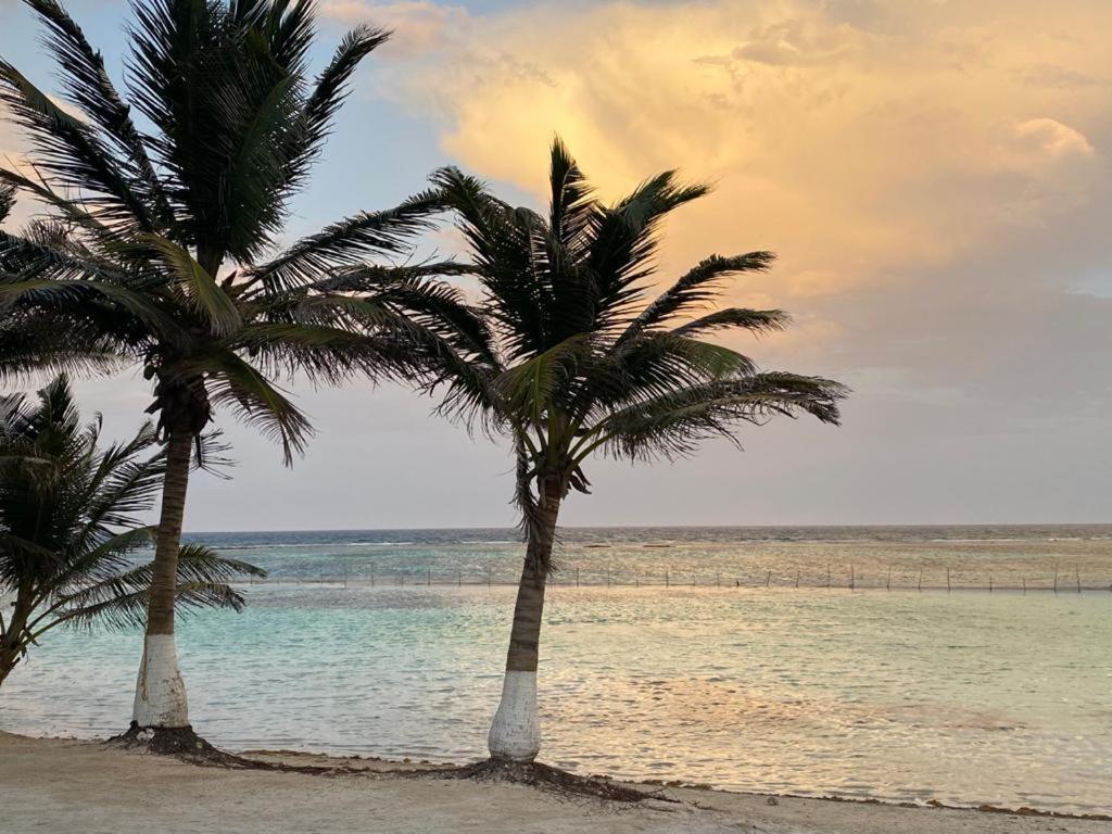 Hotel Blue Reef Frente Al Mar Mahahual Zewnętrze zdjęcie