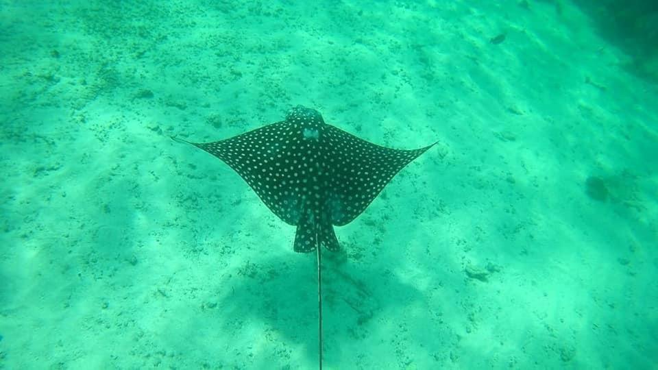 Hotel Blue Reef Frente Al Mar Mahahual Zewnętrze zdjęcie