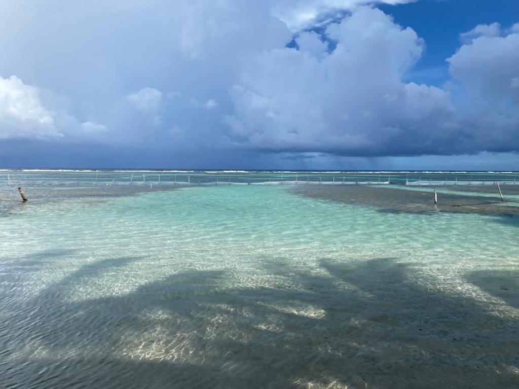 Hotel Blue Reef Frente Al Mar Mahahual Zewnętrze zdjęcie